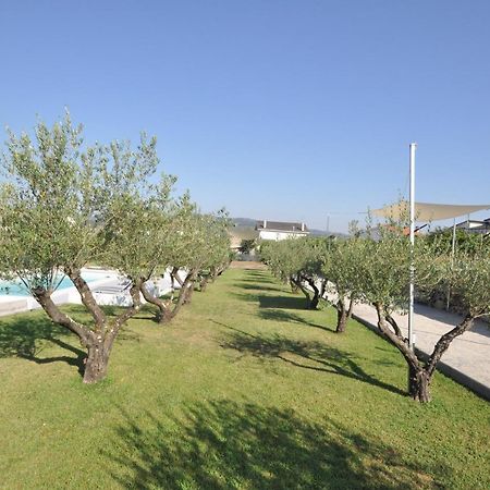Olival Da Seara Villa Marco de Canavezes Eksteriør billede